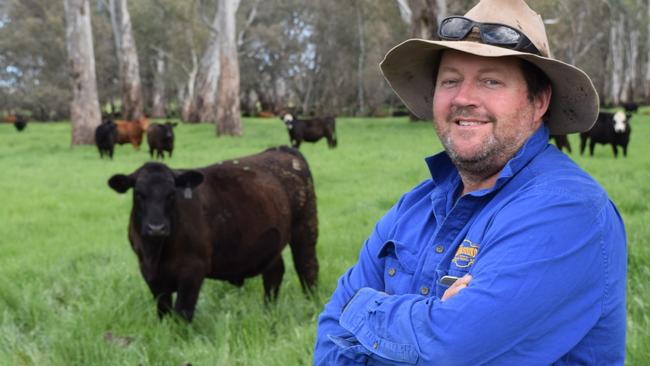 Meat market: Tim Stokes, manager of Karn Station at Benalla, with Stabilizer-Angus steers. Picture: Jamie-Lee Oldfield