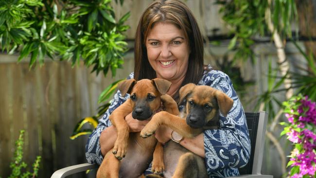 Angel Paws volunteer Gail Sant with Puppies Faith and Frosty who will soon be up for adoption. Picture: Evan Morgan