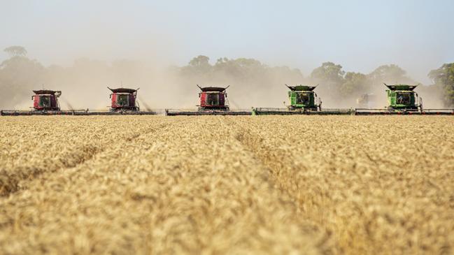 SA producers are on track for a bumper grains harvest.