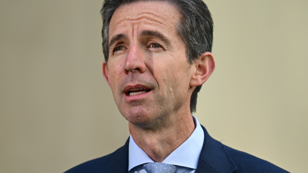 Simon Birmingham criticises Anthony Albanese for not visiting Israel