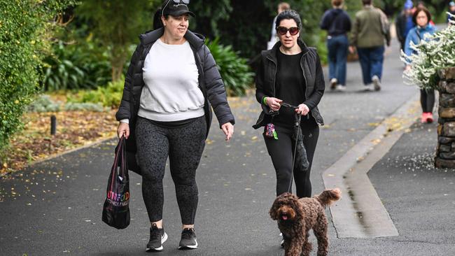 Million Paws Walk at Adelaide Botanic Gardens. Picture: Brenton Edwards