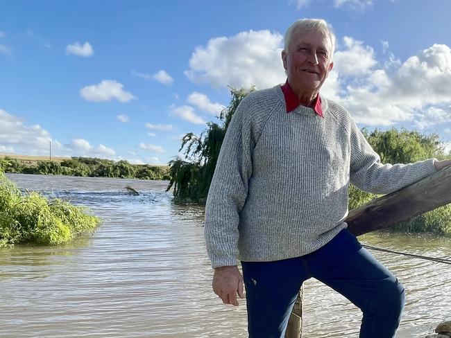 Clem Mason standing on the levee bank on his property at Jervois. Photo: Dylan Hogarth.