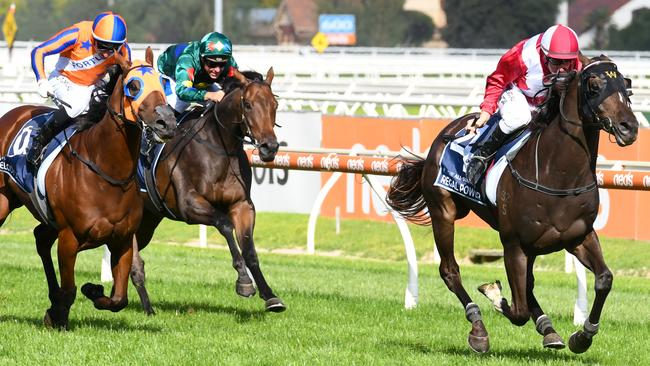 Regal Power left Melody Belle and Alligator Blood in his wake in the All-Star Mile. Picture: AAP