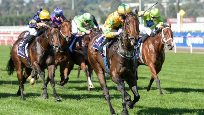 Estriella cruised to victory in the Sunlight Classic. Picture: Ross Holburt/Racing Photos via Getty Images