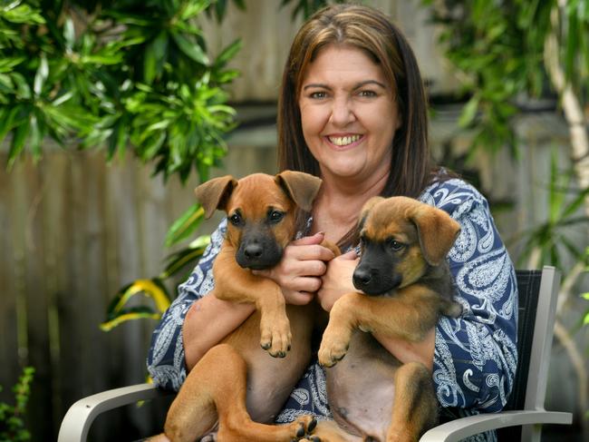 Angel Paws volunteer Gail Sant with Puppies Faith and Frosty who will soon be up for adoption. Picture: Evan Morgan