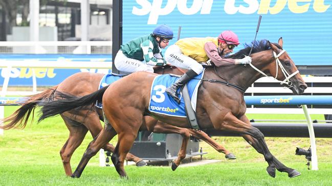 Field Of Play ridden by Blake Shinn wins the Sportsbet Blue Diamond Prelude (C&G) at Caulfield Racecourse on February 08, 2025 in Caulfield, Australia. (Photo by Reg Ryan/Racing Photos via Getty Images)