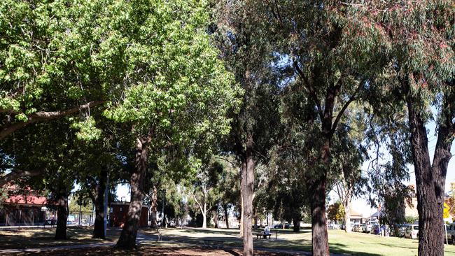 The trees in Gandolfo Gardens are under threat by the Level Crossing Removal Project. Picture: Sarah Matray