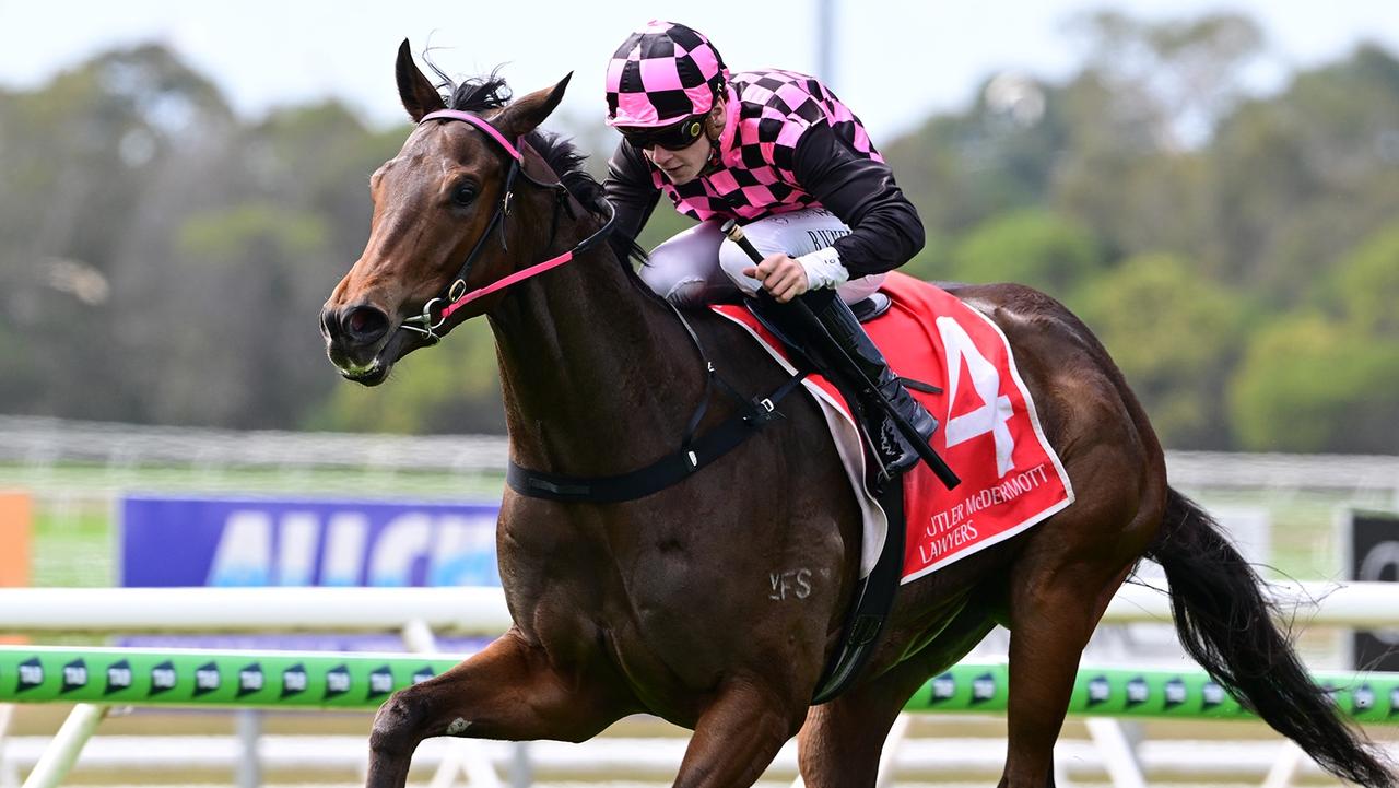 Unbeaten galloper Cosmo Centaurus steps up in grade on Saturday at Doomben. Picture: Grant Peters/Trackside Photography