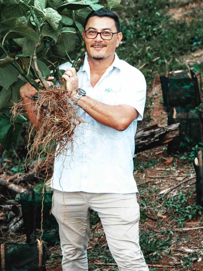 Zane Yoshida, who founded Fiji Kava, seen holding the kava plant. Picture: Supplied