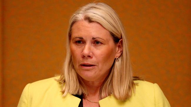 Kate Roffey says it is preferable any new plan comprises high-level education linked with industry. Picture: Mark Stewart