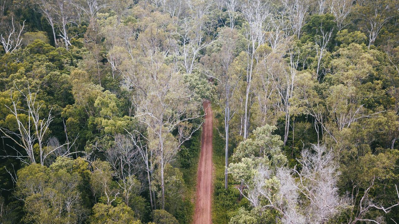 The state government will dedicate more than 12,000ha of land currently declared as state forest as national and conservation park. credit: Alex Spurway escape 5 september 2021 destination maryborough gympie