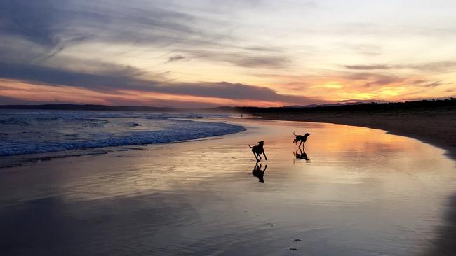 Nearby South Broulee beach is popular with tourists. Picture: Elizabeth Ladmore