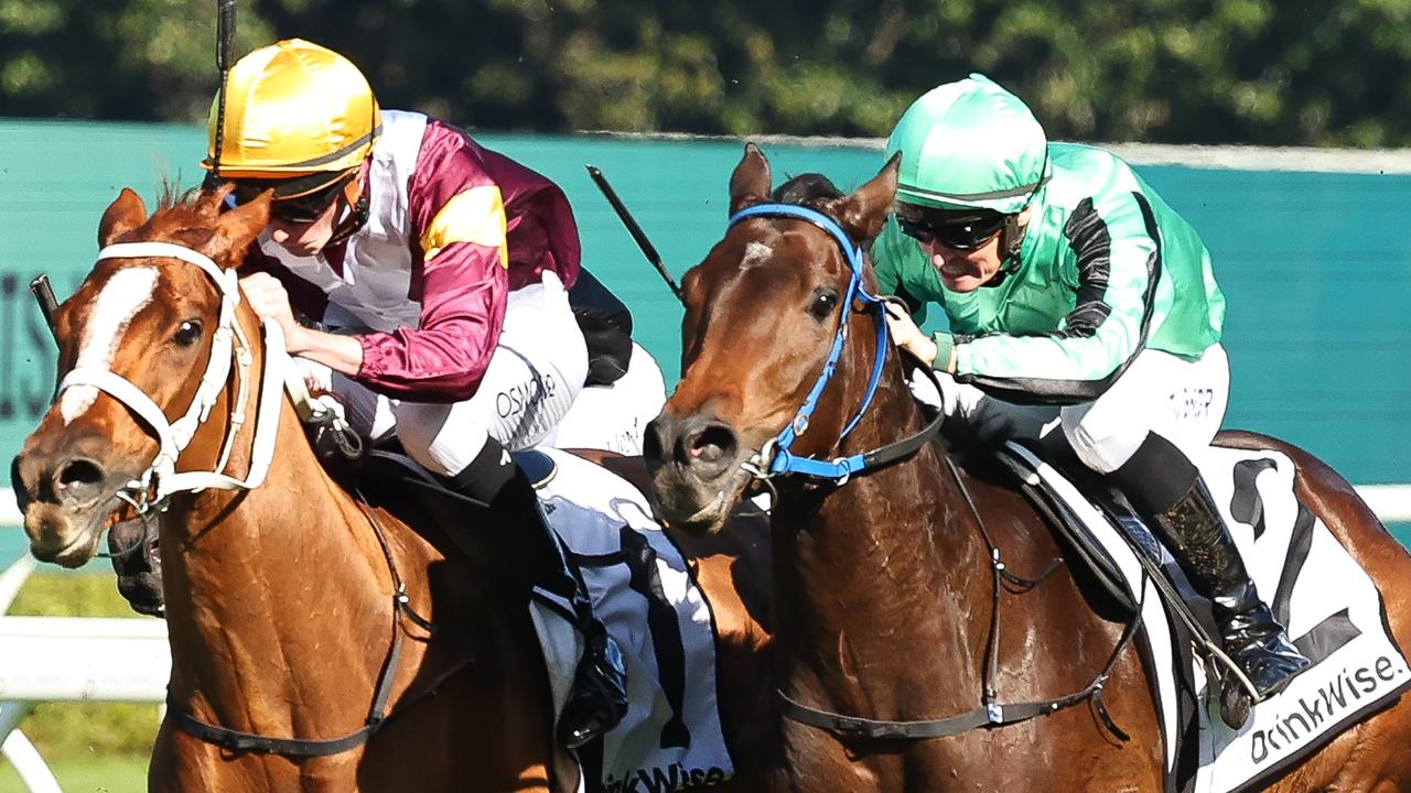 Payne’s unique methods shine again as Shohisha salutes
