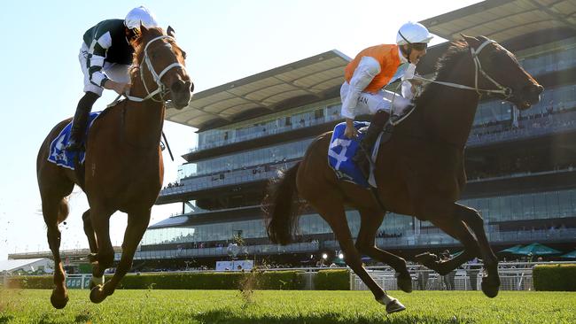 Montefilia heads into the Oaks on the back of two Group 1 wins in Sydney. Picture: Getty Images