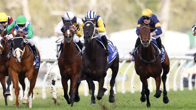 Our Intrigue (yellow sleeves) looks well placed at the weights for her first-up run. Picture: Getty Images