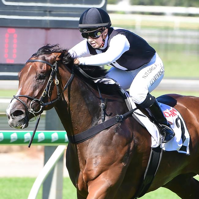 Georgie Cartwright and Bleu Zebra are a winning partnership. Picture: Trackside Photography