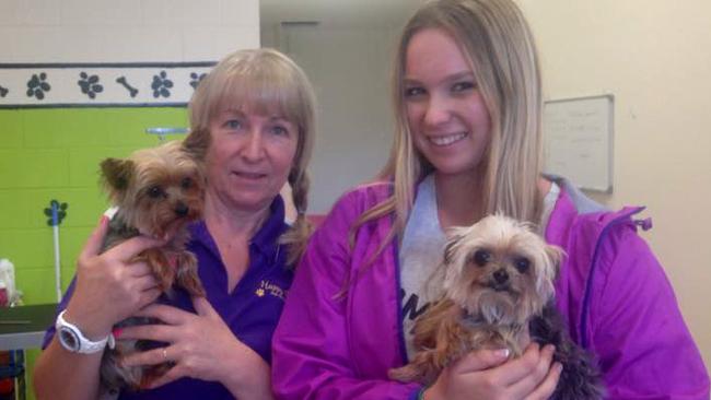 Pistol (left) and Boo with Lianne and Ellie Kent of Happy Dogz Salon, Maudsland, where they were recently dropped off for grooming. Picture supplied by Lianne Kent