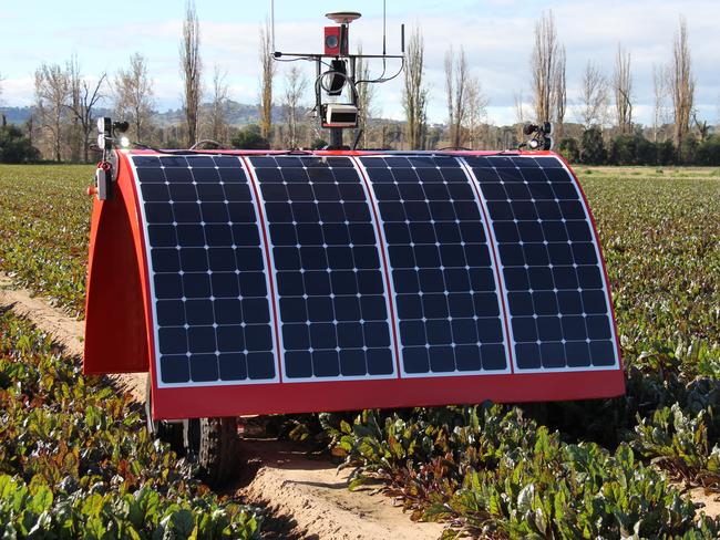 The Ladybird has an array of sensors for detecting vegetable growth and pest species. Photo: The University of Sydney, Australian Centre for Field Robotics.