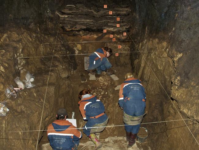 In this 2011 photo provided by Bence Viola of the University of Toronto, researchers excavate a cave for Denisovan fossils in the Altai Krai area of Russia. Picture: Bence Viola