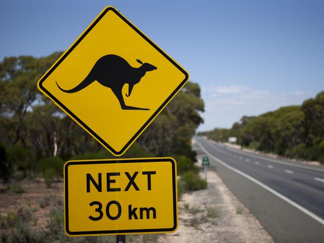 kangaroo sign 30km. Thinkstock. Generic image.