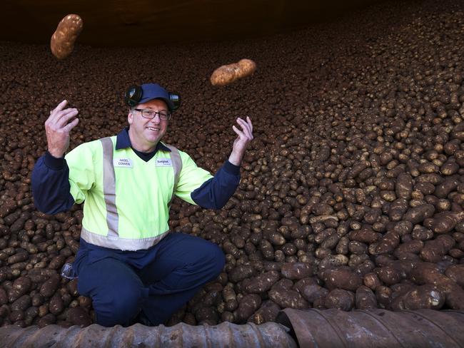 Factory manager Nigel Cowen in the potato storage shed. Picture: CHRIS KIDD