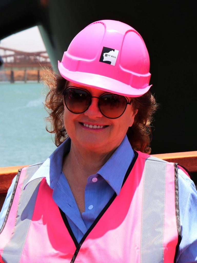 New gas laws are also an investment setback for Gina Rinehart.