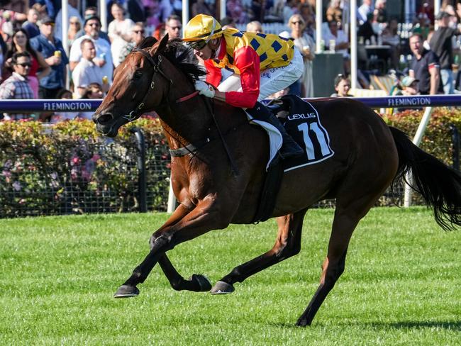 Rose Quartz ridden by Michael Dee wins the The Lexus Melbourne Cup Tour Apply Now  at Flemington Racecourse on February 19, 2022 in Flemington, Australia. (Jay Town/Racing Photos via Getty Images)