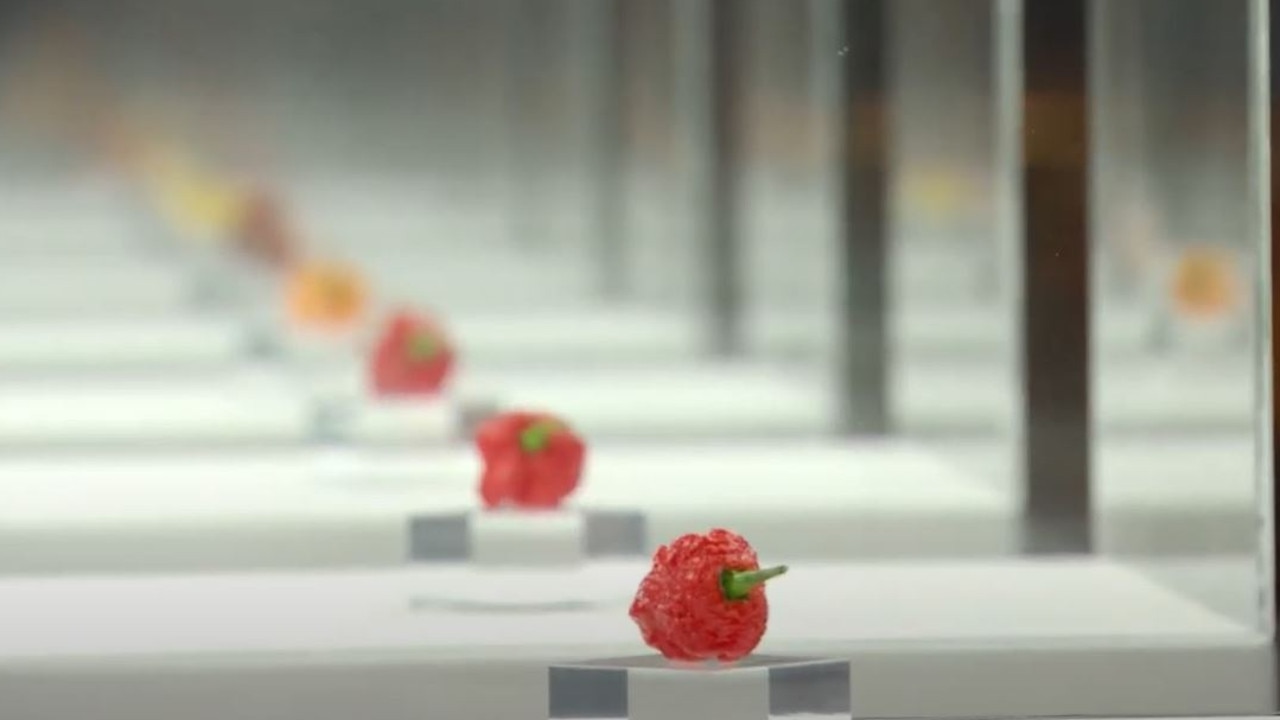 Eight of the hottest chilli's on the planet. Picture: Channel 10