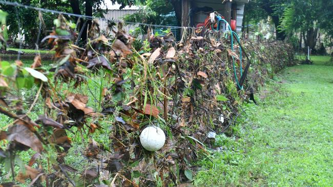 Tuesday February 4. Heavy rain causes flooding in North Queensland. Fences at homes affected by flooding along Bluewater Creek. Picture: Evan Morgan