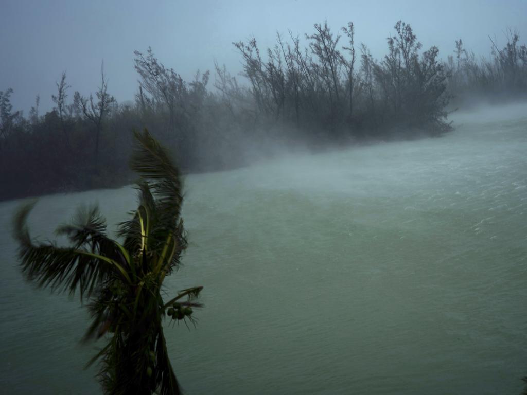 Strong winds from Hurricane Dorian blow the tops of trees and brush in Freeport, Grand Bahama. Picture: AP