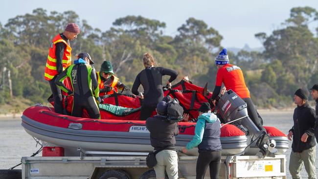 Scientists and rescuers carried the dolphin to the dinghy, before travelling down to the South Arm boat ramp to launch.