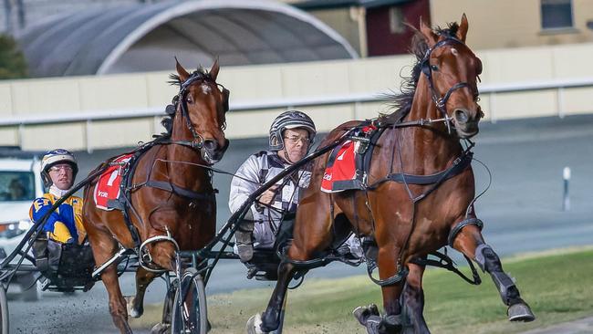 Leap To Fame takes out the Mr Feelgood Open by more than eight lengths at Albion Park on Saturday night. Picture: Dan Costello