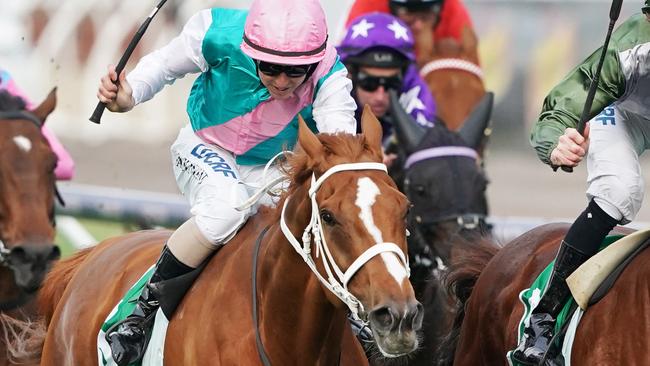 Finche will have plenty of admirers in the Caulfield Cup. Picture: AAP