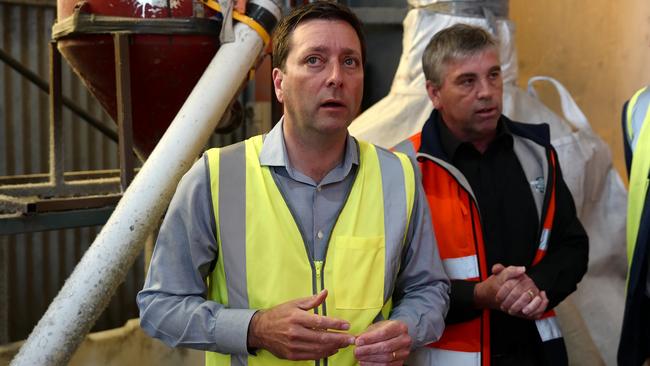 Victorian Liberal Party leader Matthew Guy. Picture: Picture: NCA NewsWire / Luis Enrique Ascui