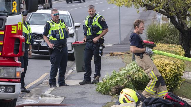 Tasmania Fire Service and Police at a shed on fire in Bellerive where a large cannabis plant was found. Picture: Chris Kidd