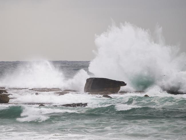 Beachgoers take to the water at Bondi this morning. Photo Jeremy Piper