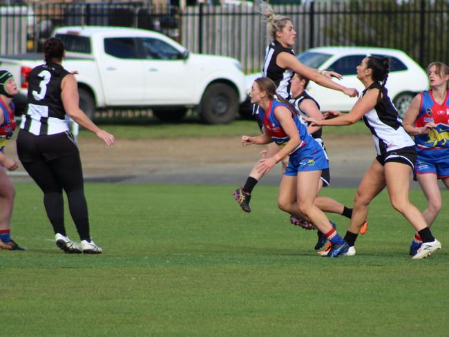 SFLW Community League: Claremont v Huonville. Picture: Jake Garland