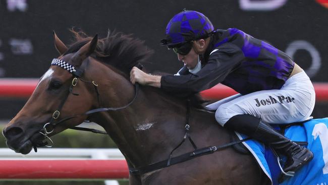 Josh Parr (pictured) will ride Just A Jedi for the first time on Wednesday. Picture: Getty Images)