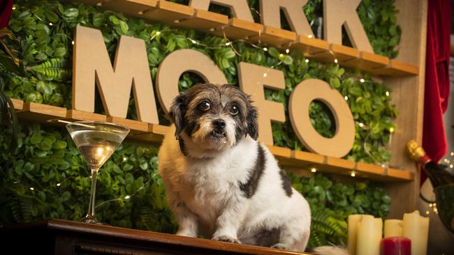 Edith ahead of Bark Mofo at the Fern Tree Tavern. Picture: Chris Kidd