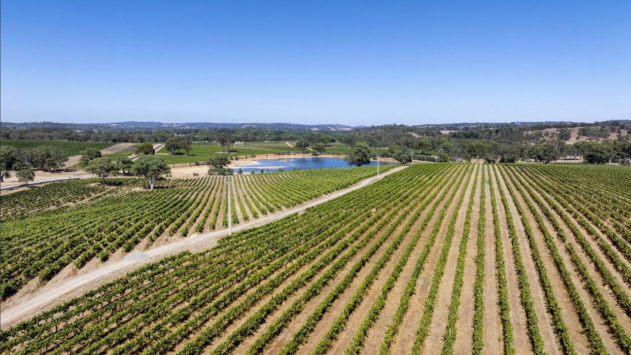 Valley Road vineyard property, at Birdwood that Mr Hickmann also owns. Picture: realestate.com.au,