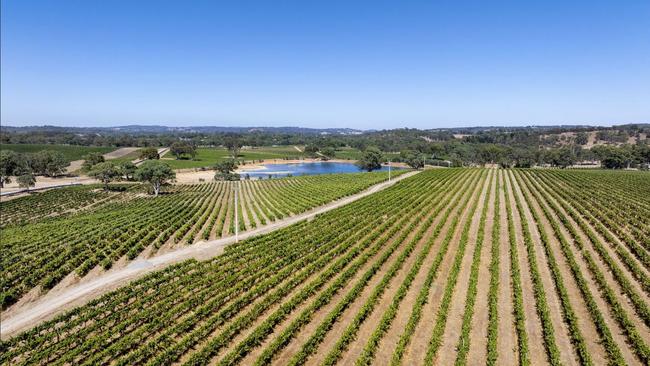 Valley Road vineyard property, at Birdwood that Mr Hickmann also owns. Picture: realestate.com.au,