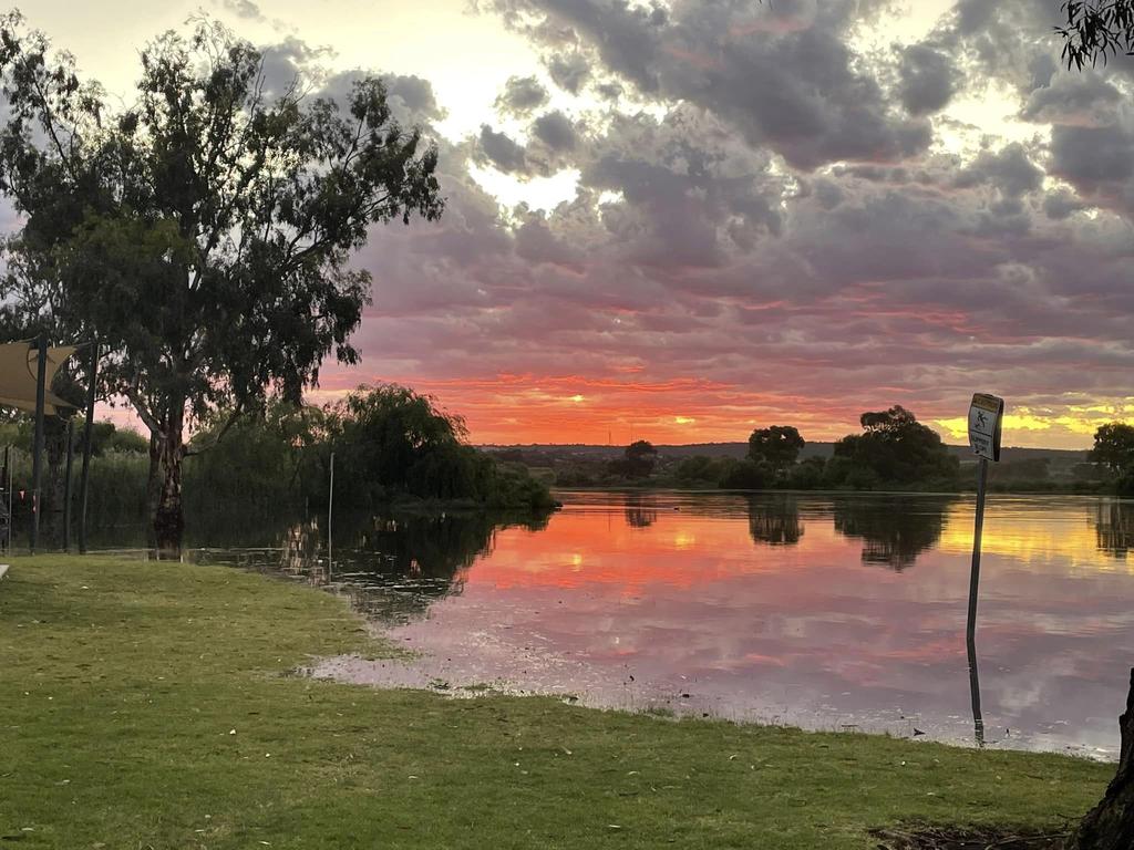 Thiele Reserve, Murray Bridge, December 20. Picture: Facebook/Paula Parker