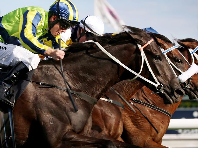 Turnbull Stakes Day Races at Flemington, Turnbull Stakes 2000m, (L) Kerrin McEvoy on board Lucia Valentina makes a mover at the 100m mark on Lidari and Brambles. 4th October 2014. Picture : Colleen Petch.