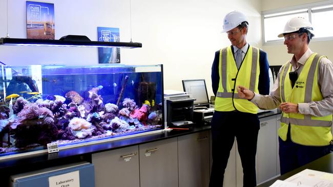 Minister for Energy, Biofuels and Water Supply Mark Bailey and Operations Manager Scott Murphy with a fishtank filled with saltwater from the desalination process. Photo: Steve Holland