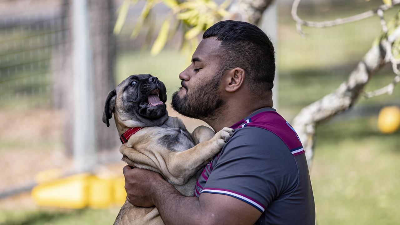 Taniela Tupou with his “son”, 10-week-old puppy Thor. Picture: Brendan Hertel/QRU