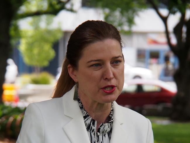 Labor MP Julie Collins speaks to the media on Parliament House lawns in Hobart on Monday November 4, 2019.