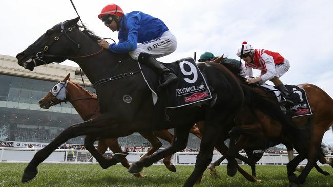 Peacock showed promise last spring and has been gelded since a lacklustre autumn campaign. Picture: George Salpigtidis