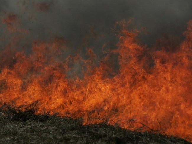 A wall of flamesPhoto: Jason Dougherty / Sunshine Coast Daily