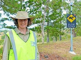 WATCH OUT: Lismore City Council Environmental Strategies Officer Wendy Neilan is hoping Council's new vehicle-activated signage will remind drivers to slow down. Picture: Lismore City Council