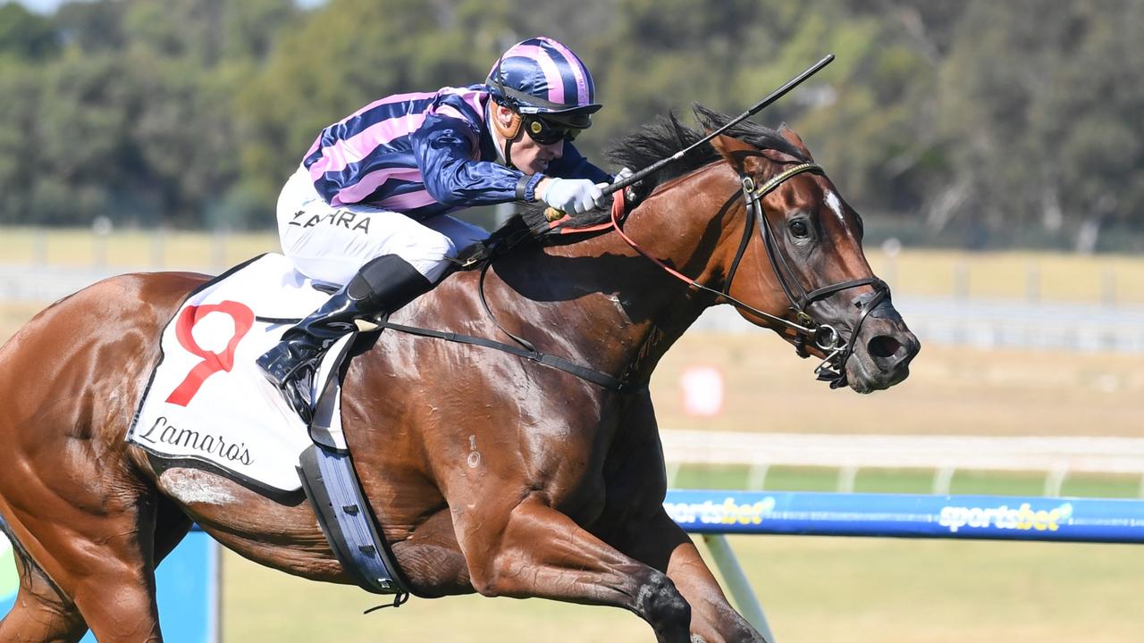 She’s Bulletproof ‘absolutely spot on’ for Oakleigh Plate